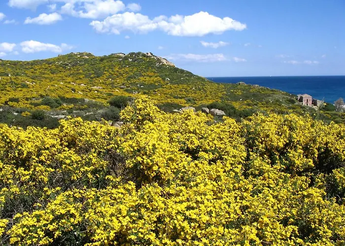 Nyaraló Ely's Flat *